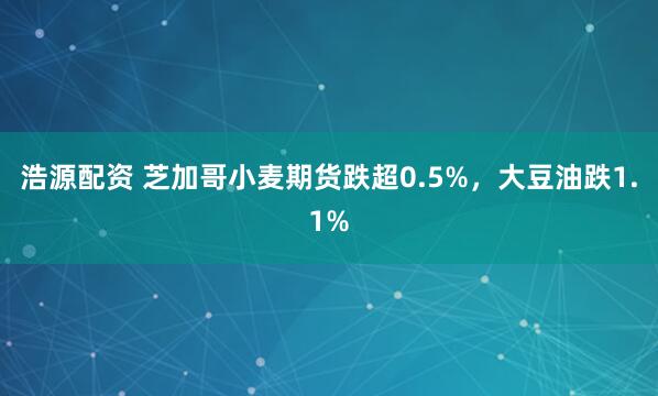 浩源配资 芝加哥小麦期货跌超0.5%，大豆油跌1.1%