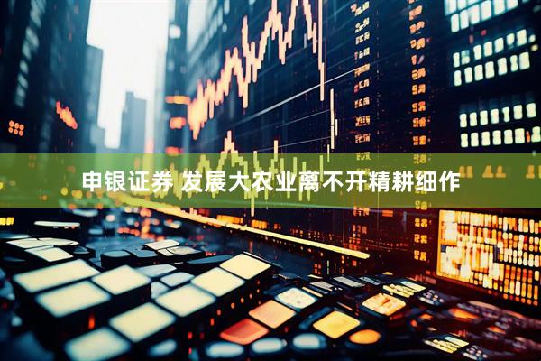 申银证券 发展大农业离不开精耕细作