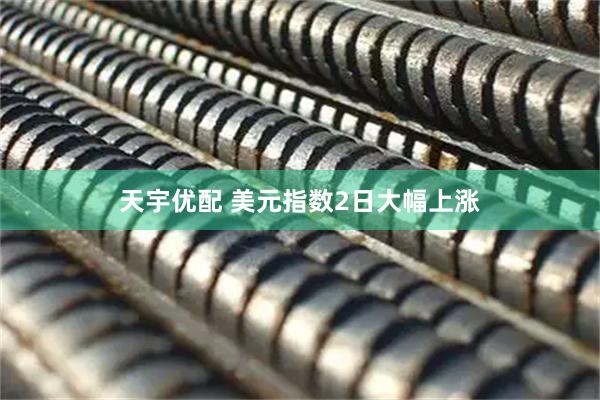 天宇优配 美元指数2日大幅上涨